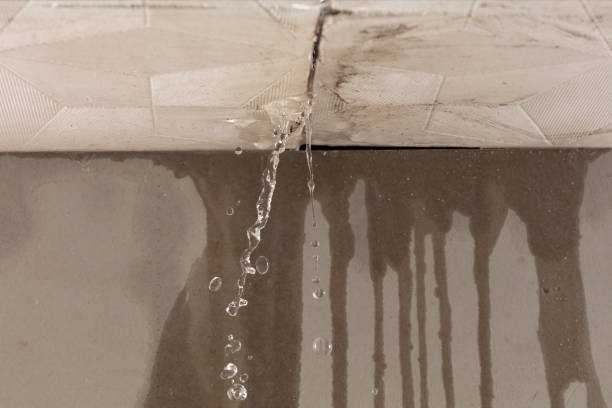 Professional Water Damage Repair technician working in Covington, IN